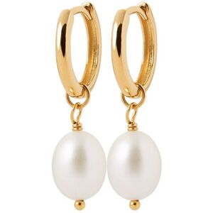 Harfi Women's 18ct Gold Vermeil Pearl Mini Hoop Huggie Earrings Gold One Size Harfi Women's 18ct Gold Vermeil Pearl Mini Hoop Huggie Earrings Gold One Size