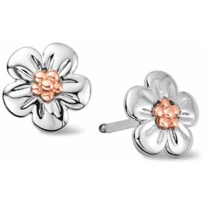 Clogau Women's Nature's Wonder Sterling Silver Forget-Me-Not Stud Earrings in Metallics Metallics One Size Clogau Women's Nature's Wonder Sterling Silver Forget-Me-Not Stud Earrings in Metallics Metallics One Size