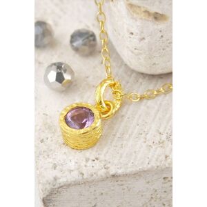 Otis Jaxon London Women's Amethyst February Birthstone Sterling Silver Pendant Necklace in Gold Gold One Size Otis Jaxon London Women's Amethyst February Birthstone Sterling Silver Pendant Necklace in Gold Gold One Size