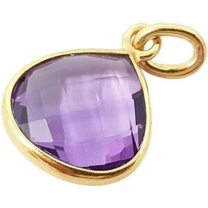 Harfi Women's Amethyst February Birthstone Gold Vermeil Plated Pendant in Purple Purple One Size Harfi Women's Amethyst February Birthstone Gold Vermeil Plated Pendant in Purple Purple One Size