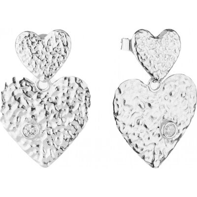 Radiant Stainless Steel Grey Ladies Earrings - Earrings Radiant Stainless Steel Grey Ladies Earrings - Earrings