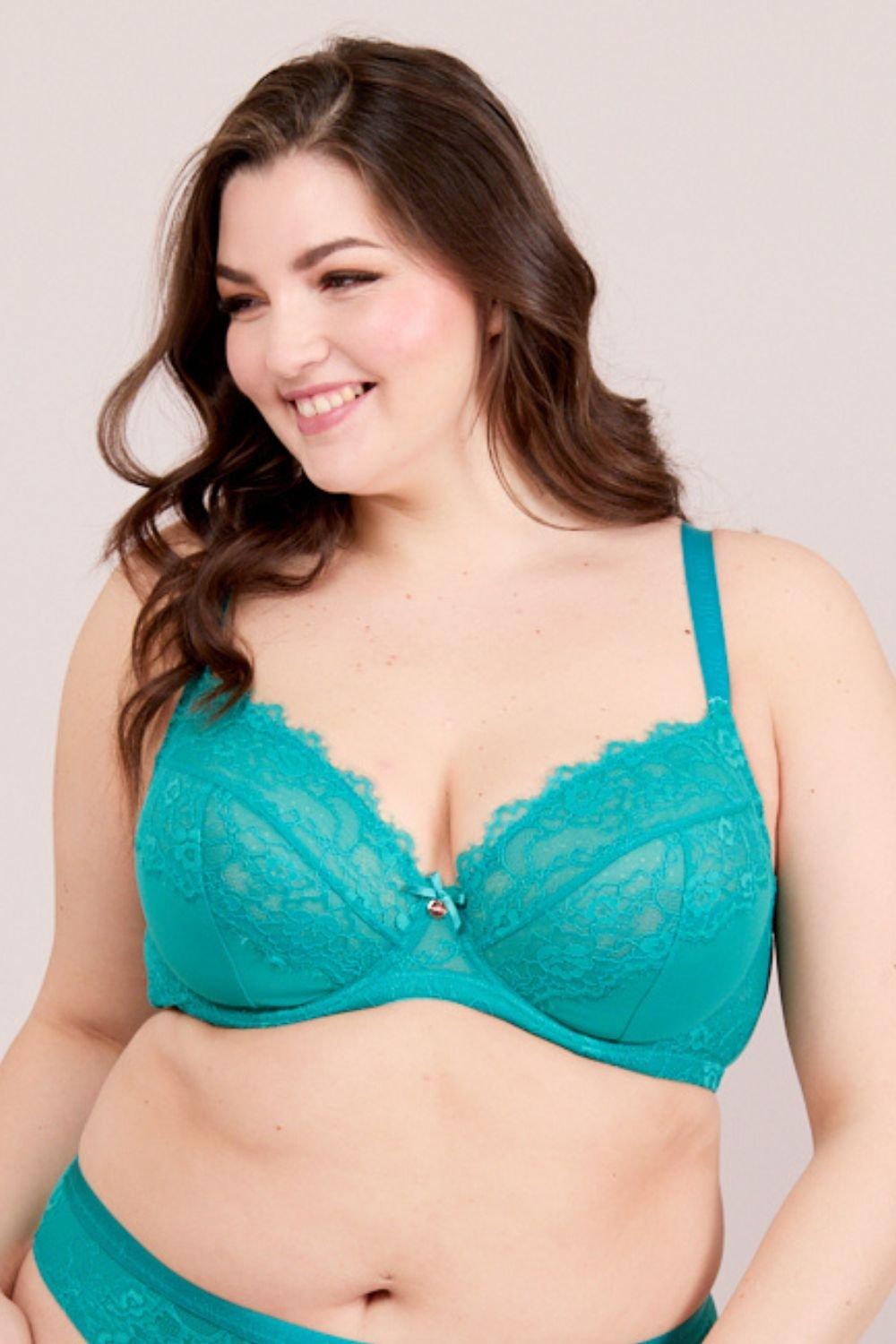 Oola Lingerie Lace & Logo Underwired Non Padded Bra