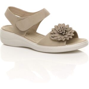 AJVANI Women's Low Wedge Heel Comfort Touch Close Faux Leather Sandals in Beige Size: 6 Beige 6 AJVANI Women's Low Wedge Heel Comfort Touch Close Faux Leather Sandals in Beige Size: 6 Beige 6