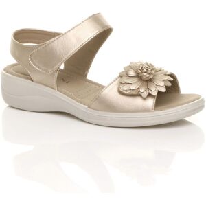 AJVANI Women's Low Wedge Heel Comfort Touch Close Faux Leather Sandals in Metallic Gold Size: 5 Metallic Gold 5 AJVANI Women's Low Wedge Heel Comfort Touch Close Faux Leather Sandals in Metallic Gold Size: 5 Metallic Gold 5