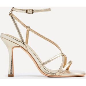 Linzi Women's Havana Gold Faux Leather Strappy Heeled Sandal Size: 6-Standard Fit Gold 6-Standard Fit Linzi Women's Havana Gold Faux Leather Strappy Heeled Sandal Size: 6-Standard Fit Gold 6-Standard Fit
