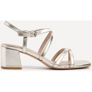 Linzi Women's Jovanna Gold Strappy Heeled Sandals Size: 7-Standard Fit Gold 7-Standard Fit Linzi Women's Jovanna Gold Strappy Heeled Sandals Size: 7-Standard Fit Gold 7-Standard Fit
