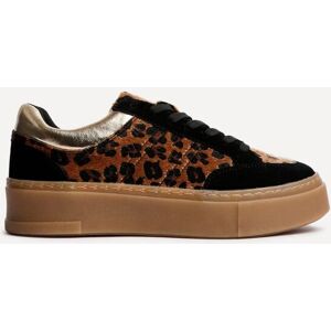 Linzi Women's Nyra Leopard Print Trainers in Yellow Size: 7-Standard Fit Yellow 7-Standard Fit Linzi Women's Nyra Leopard Print Trainers in Yellow Size: 7-Standard Fit Yellow 7-Standard Fit