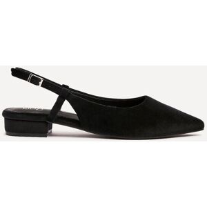 Linzi Women's Clasica Black Velvet Pointed Toe Ballet Flats Size: 7-Standard Fit Black 7-Standard Fit Linzi Women's Clasica Black Velvet Pointed Toe Ballet Flats Size: 7-Standard Fit Black 7-Standard Fit