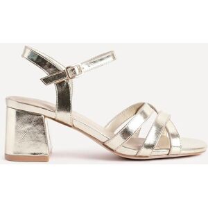 Linzi Women's Flair Gold Faux Leather Heeled Sandals Size: 8-Standard Fit Gold 8-Standard Fit Linzi Women's Flair Gold Faux Leather Heeled Sandals Size: 8-Standard Fit Gold 8-Standard Fit