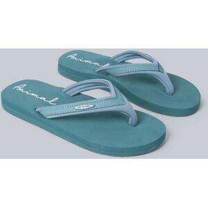 Animal Women's Swish Logo Flip Flop in Pale Green Size: 5 Pale Green 5 Animal Women's Swish Logo Flip Flop in Pale Green Size: 5 Pale Green 5