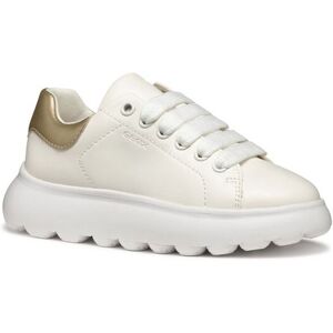 Geox Girl's J PUFFYPOP SNEAKERS in White Size: Infant 13 White Infant 13 Geox Girl's J PUFFYPOP SNEAKERS in White Size: Infant 13 White Infant 13