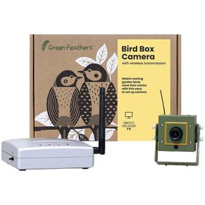 Green Feathers Bird Box & Wildlife Camera with Wireless Transmission