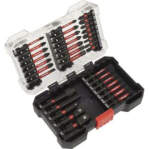 Loops 34 Piece Impact Grade Power Tool Bit Set - S2 Steel Bits - Plastic Storage Case in Metallics Metallics Loops 34 Piece Impact Grade Power Tool Bit Set - S2 Steel Bits - Plastic Storage Case in Metallics Metallics