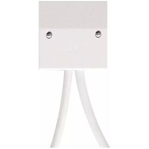 John Guest Radiator Outlet Plate in White White John Guest Radiator Outlet Plate in White White