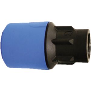 John Guest Blue Adaptor 25mm X 3/4" Female UG4502B Blue John Guest Blue Adaptor 25mm X 3/4" Female UG4502B Blue