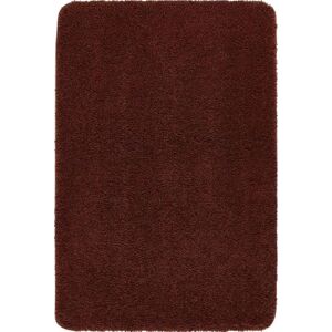 THE RUGS Washable Shaggy Rug - Polypropylene 25mm Pile Non Slip Durable in Wine Size: 67 cm x 150 cm Wine 67 cm x 150 cm THE RUGS Washable Shaggy Rug - Polypropylene 25mm Pile Non Slip Durable in Wine Size: 67 cm x 150 cm Wine 67 cm x 150 cm