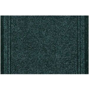 RugsX Malaga Doormat in Green Size: 66 cm x 410 cm Green 66 cm x 410 cm RugsX Malaga Doormat in Green Size: 66 cm x 410 cm Green 66 cm x 410 cm