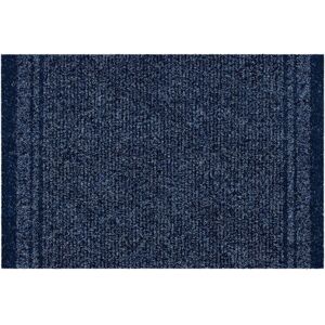 RugsX Malaga Doormat in Blue Size: 66 cm x 490 cm Blue 66 cm x 490 cm RugsX Malaga Doormat in Blue Size: 66 cm x 490 cm Blue 66 cm x 490 cm