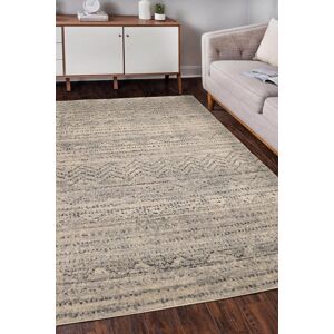 The Rug Shop UK Modern Abstract Stain-Resistant Grey Easy to Clean Machine Made Rug Size: 160 cm x 230 cm Grey 160 cm x 230 cm The Rug Shop UK Modern Abstract Stain-Resistant Grey Easy to Clean Machine Made Rug Size: 160 cm x 230 cm Grey 160 cm x 230 cm