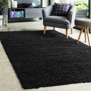 The Rug Shop UK Black Modern Shaggy Plain Polypropylene Easy To Clean Area Rug Size: 200 cm x 290 cm Black 200 cm x 290 cm The Rug Shop UK Black Modern Shaggy Plain Polypropylene Easy To Clean Area Rug Size: 200 cm x 290 cm Black 200 cm x 290 cm