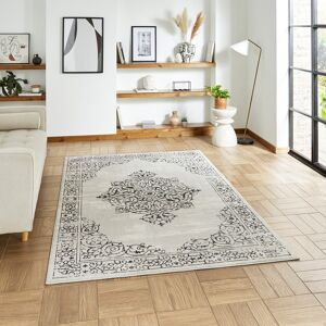 The Rug Shop UK Silver Traditional Easy to clean Machine Made Abstract Area Rug Size: 160 cm x 230 cm Silver 160 cm x 230 cm The Rug Shop UK Silver Traditional Easy to clean Machine Made Abstract Area Rug Size: 160 cm x 230 cm Silver 160 cm x 230 cm