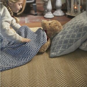 The Rug Shop UK Gold Modern Outdoor Easy to clean Machine Made Striped Area Rug Size: 120 cm x 170 cm Gold 120 cm x 170 cm The Rug Shop UK Gold Modern Outdoor Easy to clean Machine Made Striped Area Rug Size: 120 cm x 170 cm Gold 120 cm x 170 cm