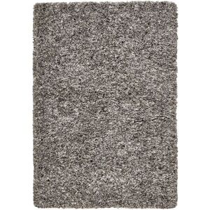 The Rug Shop UK Modern Plain Shaggy Easy To Clean Stain-Resistant Area Rug in Silver Size: 200 cm x 290 cm Silver 200 cm x 290 cm The Rug Shop UK Modern Plain Shaggy Easy To Clean Stain-Resistant Area Rug in Silver Size: 200 cm x 290 cm Silver 200 cm x 290 cm