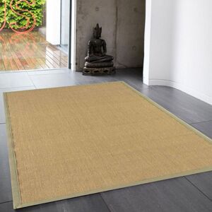 The Rug Shop UK Modern Plain Easy To Clean Stain-Resistant Area Rug in Beige Size: 200 cm x 300 cm Beige 200 cm x 300 cm The Rug Shop UK Modern Plain Easy To Clean Stain-Resistant Area Rug in Beige Size: 200 cm x 300 cm Beige 200 cm x 300 cm