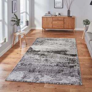 The Rug Shop UK Modern Easy To Clean Stain-Resistant Area Rug in Grey Size: 160 cm x 220 cm Grey 160 cm x 220 cm The Rug Shop UK Modern Easy To Clean Stain-Resistant Area Rug in Grey Size: 160 cm x 220 cm Grey 160 cm x 220 cm