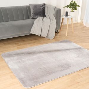 OHS Filled Microplush Rug Large Area Mat Carpet Living Room in Silver Size: 160 cm x 230 cm Silver 160 cm x 230 cm OHS Filled Microplush Rug Large Area Mat Carpet Living Room in Silver Size: 160 cm x 230 cm Silver 160 cm x 230 cm