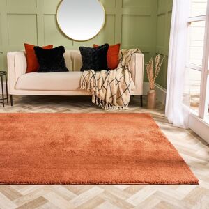 OHS Fluffy Teddy Rug Soft Floor Carpet Non Slip Area Mat in Orange Size: 120 cm x 170 cm Orange 120 cm x 170 cm OHS Fluffy Teddy Rug Soft Floor Carpet Non Slip Area Mat in Orange Size: 120 cm x 170 cm Orange 120 cm x 170 cm