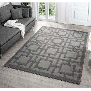 Desire Rugs Vellure Modern Living Room Area Rug Embossed Metallic Sheen Maze in Grey Size: 160 cm x 230 cm Grey 160 cm x 230 cm Desire Rugs Vellure Modern Living Room Area Rug Embossed Metallic Sheen Maze in Grey Size: 160 cm x 230 cm Grey 160 cm x 230 cm
