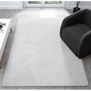 Desire Rugs Comfy Washable Low Pile Living Room Area Rug - Anti-Slip Felt Backing in Silver Size: 160 cm x 220 cm Silver 160 cm x 220 cm Desire Rugs Comfy Washable Low Pile Living Room Area Rug - Anti-Slip Felt Backing in Silver Size: 160 cm x 220 cm Silver 160 cm x 220 cm
