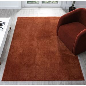 Desire Rugs Comfy Washable Low Pile Living Room Area Rug - Anti-Slip Felt Backing in Terracotta Size: 80 cm x 120 cm Terracotta 80 cm x 120 cm Desire Rugs Comfy Washable Low Pile Living Room Area Rug - Anti-Slip Felt Backing in Terracotta Size: 80 cm x 120 cm Terracotta 80 cm x 120 cm