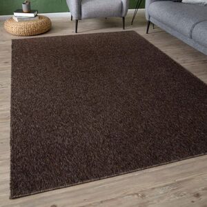 THE RUGS Flex Collection Solid Design Low Pile Living Room Rugs in Brown 1000B Size: 200 cm x 290 cm Brown 200 cm x 290 cm THE RUGS Flex Collection Solid Design Low Pile Living Room Rugs in Brown 1000B Size: 200 cm x 290 cm Brown 200 cm x 290 cm