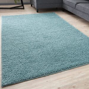THE RUGS Shaggy Rugs Living Room Rug - Soft Fluffy Thick Carpet For Bedrooms & Kitchen Easy To Clean Home Decor Rugs Size: 160 cm x 230 cm Duck Egg Blue 160 cm x 230 cm THE RUGS Shaggy Rugs Living Room Rug - Soft Fluffy Thick Carpet For Bedrooms & Kitchen Easy To Clean Home Decor Rugs Size: 160 cm x 230 cm Duck Egg Blue 160 cm x 230 cm