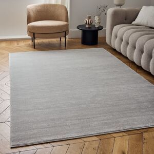 THE RUGS Carmel Modern Area Rug & Runner Striped Design Stain Resistant in Grey Size: 120 cm x 170 cm Grey 120 cm x 170 cm THE RUGS Carmel Modern Area Rug & Runner Striped Design Stain Resistant in Grey Size: 120 cm x 170 cm Grey 120 cm x 170 cm