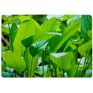 Benjamin Tate Design Green Leaf Background Abstract Of Nature Designer Rug in Natural Size: Large Natural Large Benjamin Tate Design Green Leaf Background Abstract Of Nature Designer Rug in Natural Size: Large Natural Large