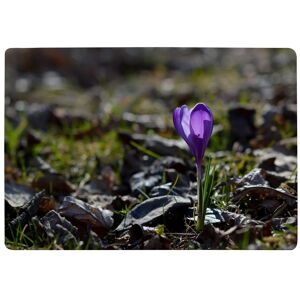 Benjamin Tate Design Autumn Flower Bloom In Nature Designer Rug in Natural Size: Large Natural Large Benjamin Tate Design Autumn Flower Bloom In Nature Designer Rug in Natural Size: Large Natural Large