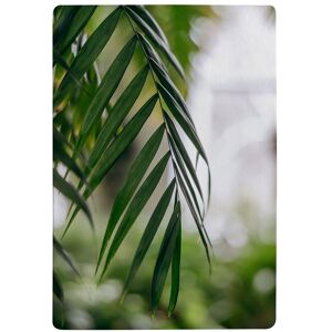 Benjamin Tate Design Closeup Of Green Palm Leaf Designer Rug in Natural Size: Large Natural Large Benjamin Tate Design Closeup Of Green Palm Leaf Designer Rug in Natural Size: Large Natural Large