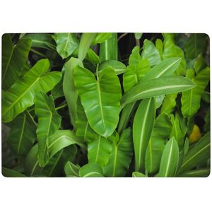 Benjamin Tate Design Abstract Background Of Dark Green Leaves Designer Rug in Natural Size: Large Natural Large Benjamin Tate Design Abstract Background Of Dark Green Leaves Designer Rug in Natural Size: Large Natural Large