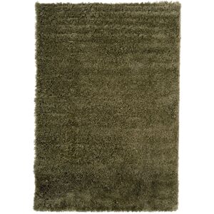 Kukoon Dark Green Super Soft Shaggy Area Rug in Dark Olive Size: 160 cm x 230 cm Dark Olive 160 cm x 230 cm Kukoon Dark Green Super Soft Shaggy Area Rug in Dark Olive Size: 160 cm x 230 cm Dark Olive 160 cm x 230 cm