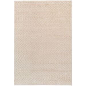 Kukoon Oatmeal Beige Chevron Soft Pile Area Rug Size: 120 cm x 170 cm Beige 120 cm x 170 cm Kukoon Oatmeal Beige Chevron Soft Pile Area Rug Size: 120 cm x 170 cm Beige 120 cm x 170 cm