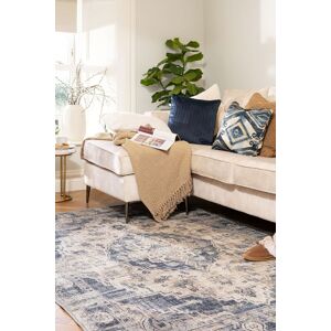 Kukoon Beige Blue Distressed Vintage Medallion Washable Living Room Area Rug Size: 80 cm x 150 cm Beige 80 cm x 150 cm Kukoon Beige Blue Distressed Vintage Medallion Washable Living Room Area Rug Size: 80 cm x 150 cm Beige 80 cm x 150 cm