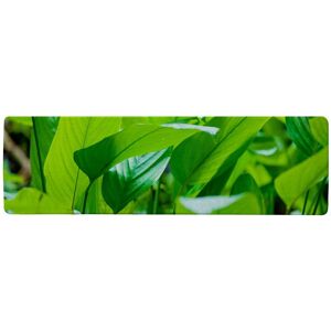 Benjamin Tate Design Green leaf background abstract of nature Designer Runner Rug in Natural Size: 67 cm x 230 cm Natural 67 cm x 230 cm Benjamin Tate Design Green leaf background abstract of nature Designer Runner Rug in Natural Size: 67 cm x 230 cm Natural 67 cm x 230 cm