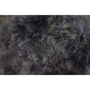 SNUGRUGS Genuine Single Pelt Sheepskin Rug in Dark Grey Size: 66 cm x 110 cm Dark Grey 66 cm x 110 cm SNUGRUGS Genuine Single Pelt Sheepskin Rug in Dark Grey Size: 66 cm x 110 cm Dark Grey 66 cm x 110 cm