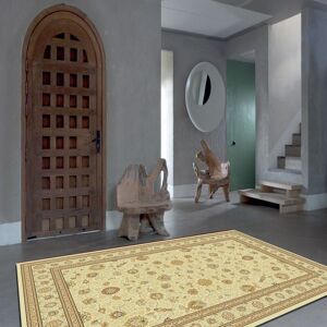 The Rug Shop UK Beige Traditional Easy to clean Machine Made Border Floral Area Rug Size: 200 cm x 290 cm Beige 200 cm x 290 cm The Rug Shop UK Beige Traditional Easy to clean Machine Made Border Floral Area Rug Size: 200 cm x 290 cm Beige 200 cm x 290 cm