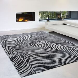 The Rug Shop UK Black Modern Abstract Optical 3D Easy To Clean Area Rug Size: 160 cm x 230 cm Black 160 cm x 230 cm The Rug Shop UK Black Modern Abstract Optical 3D Easy To Clean Area Rug Size: 160 cm x 230 cm Black 160 cm x 230 cm