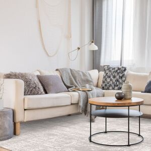 The Rug Shop UK Grey Modern Abstract Luxurious Easy to Clean Latex Back Area Rug Size: 240 cm x 340 cm Grey 240 cm x 340 cm The Rug Shop UK Grey Modern Abstract Luxurious Easy to Clean Latex Back Area Rug Size: 240 cm x 340 cm Grey 240 cm x 340 cm