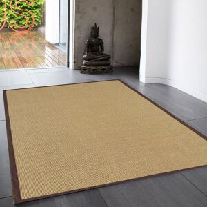 The Rug Shop UK Modern Plain Easy To Clean Stain-Resistant Area Rug in Light Brown Size: 240 cm x 340 cm Light Brown 240 cm x 340 cm The Rug Shop UK Modern Plain Easy To Clean Stain-Resistant Area Rug in Light Brown Size: 240 cm x 340 cm Light Brown 240 cm x 340 cm